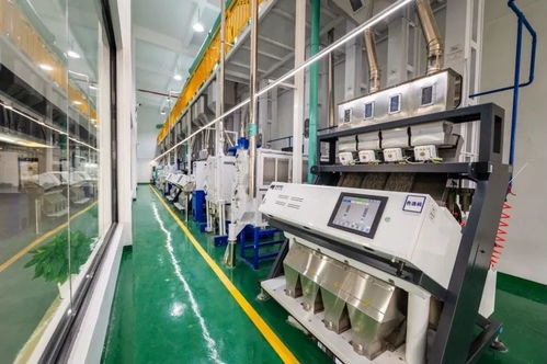 觀光工廠 vr體驗室 稻田尋寶,金山 90后 用科技打造 糧 辰新美景