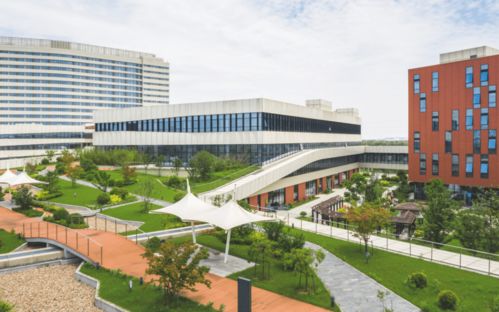 精品筑博 傳承與現代共融的吳江經濟技術開發區人民醫院——探索建筑材料技術開發的創新實踐